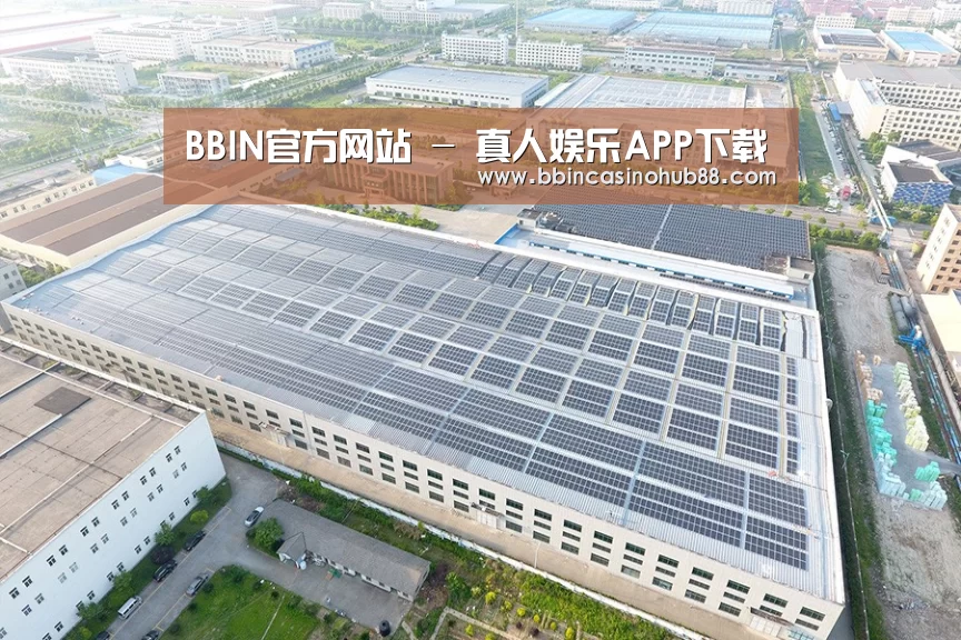 案例展示二