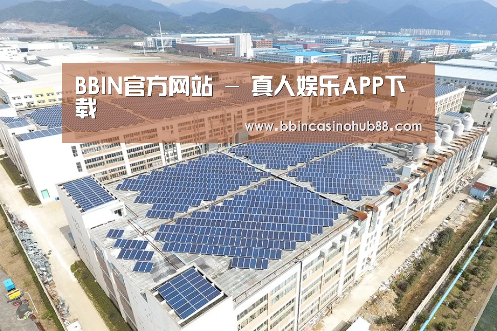 案例展示一