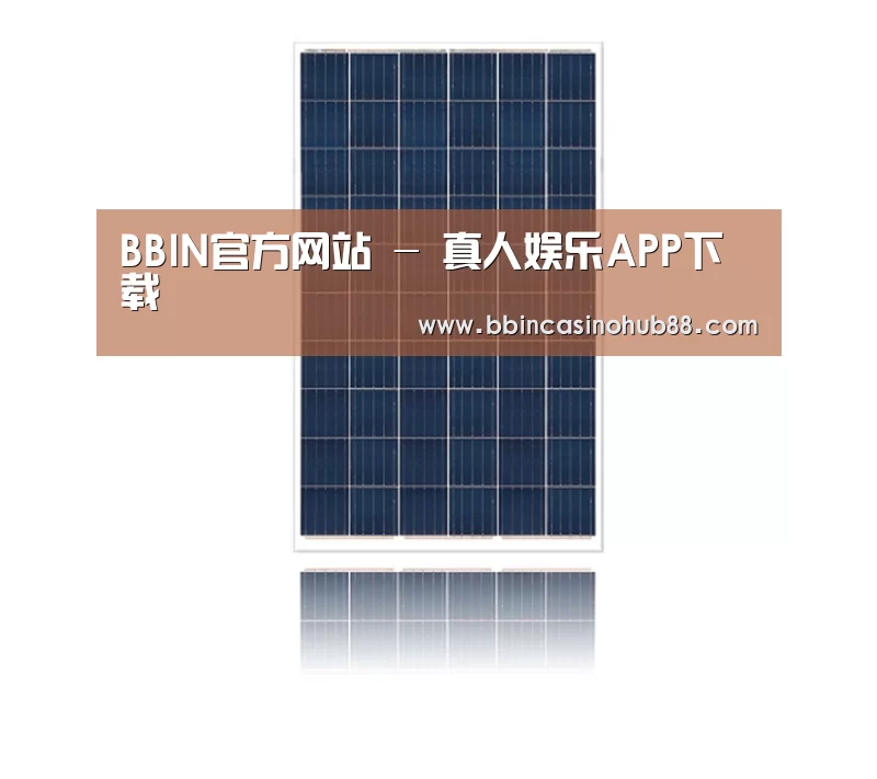 产品名称一