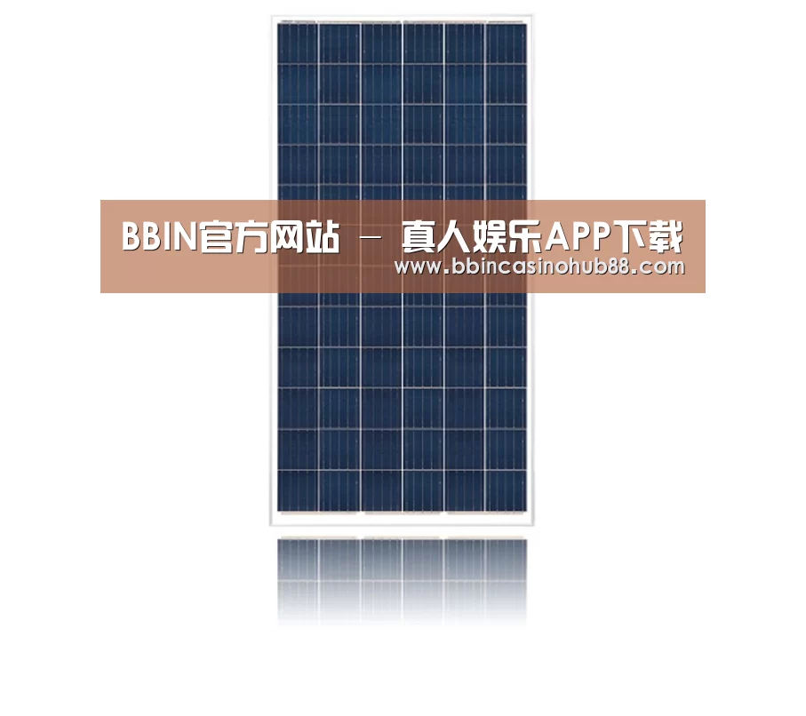 产品名称一