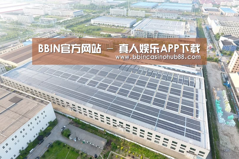 案例展示三