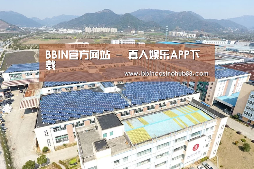 案例展示三