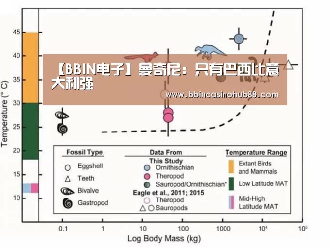 BBIN直播
