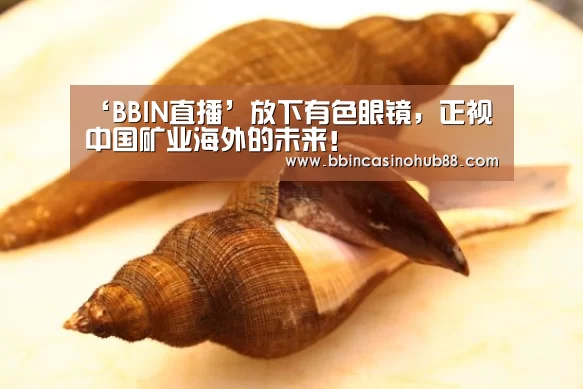 ‘BBIN直播’放下有色眼镜,正视中国矿业海外的未来!(图2) BBIN直播