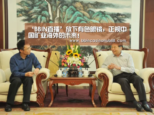 ‘BBIN直播’放下有色眼镜,正视中国矿业海外的未来!(图3) BBIN电子