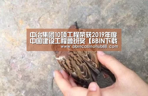 中冶集团10项工程荣获2019年度中国建设工程鲁班奖【BBIN下载】(图1) BBIN电子