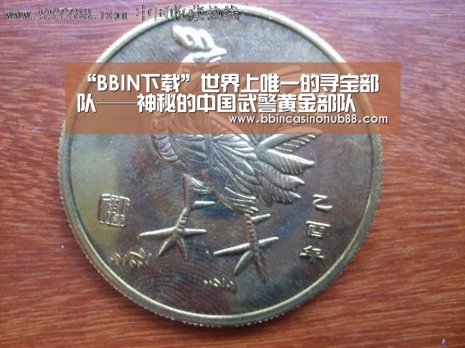 “BBIN下载”世界上唯一的寻宝部队——神秘的中国武警黄金部队(图2) BBIN电子